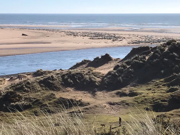 Action for Climate and Environment Newburgh-19